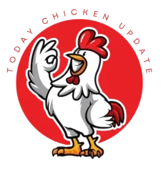 India Poultry Rates