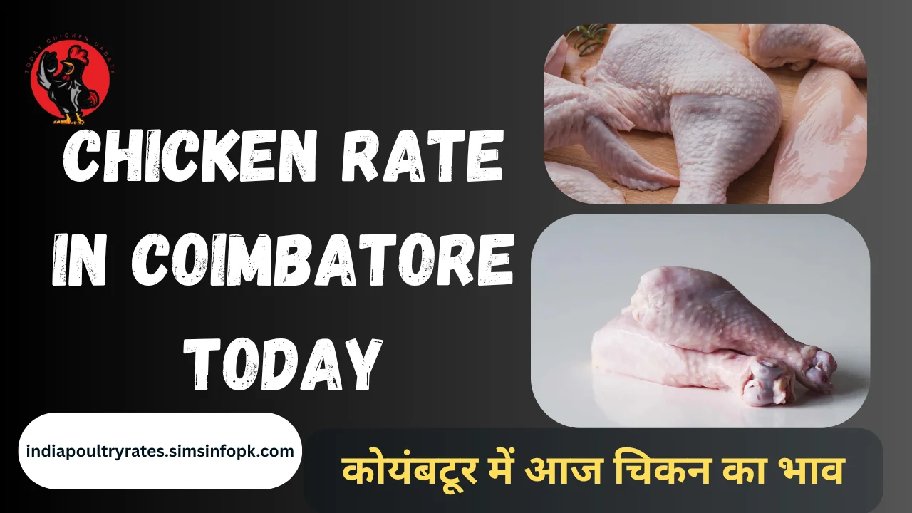 Chicken Rate in Coimbatore Today