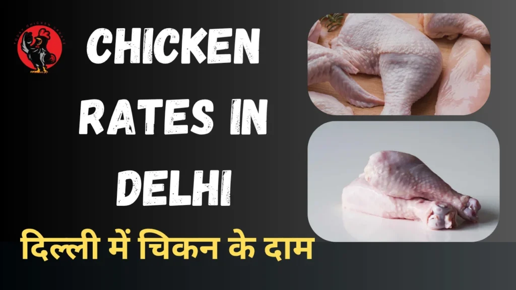 Chicken Rate in Delhi