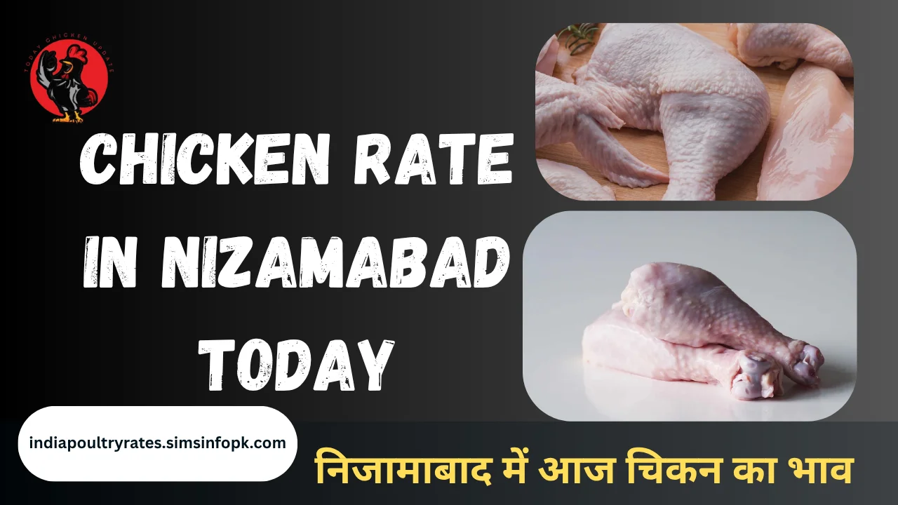 Chicken Rate in Nizamabad Today