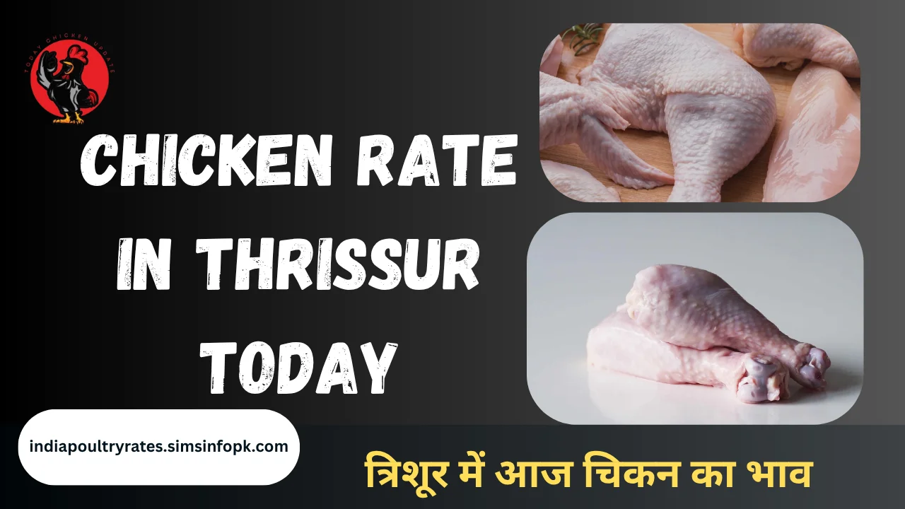 Chicken Rate in Thrissur Today