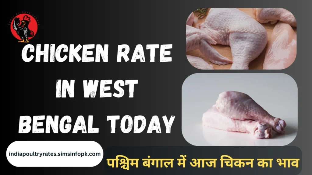 Chicken Rate in West Bengal Today