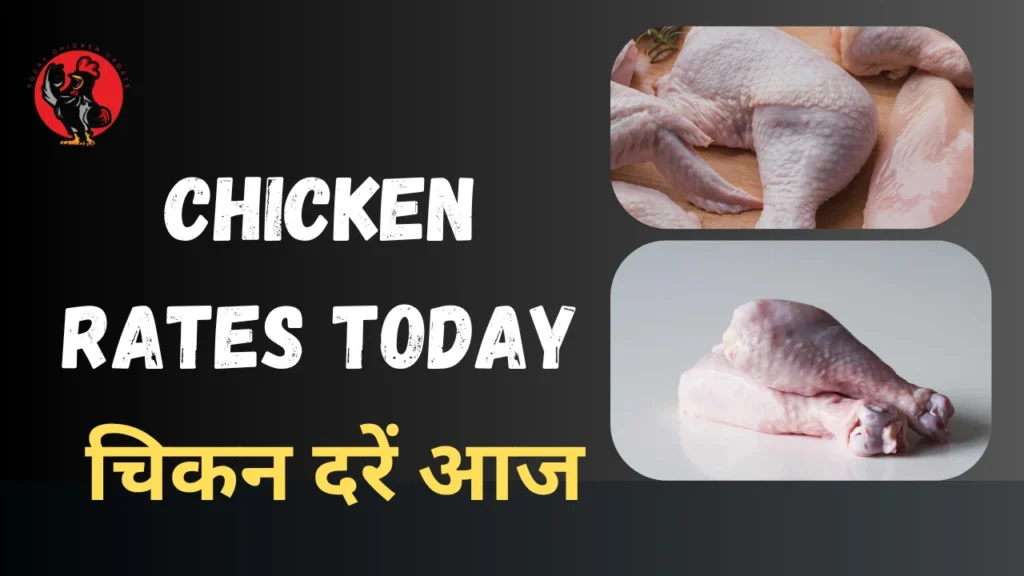 Chicken Rates today