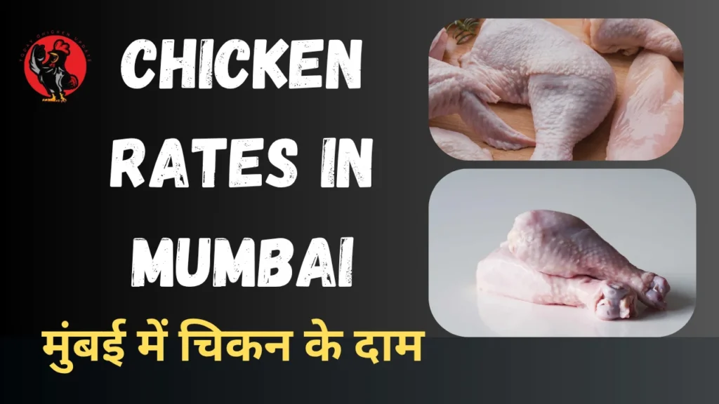 Chicken Rates in Mumbai