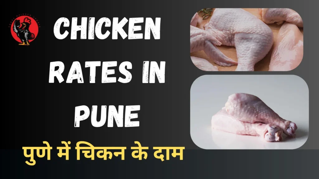 Chicken Rates in Pune