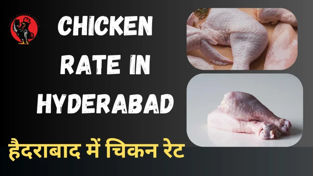 Chicken rate in Hyderabad