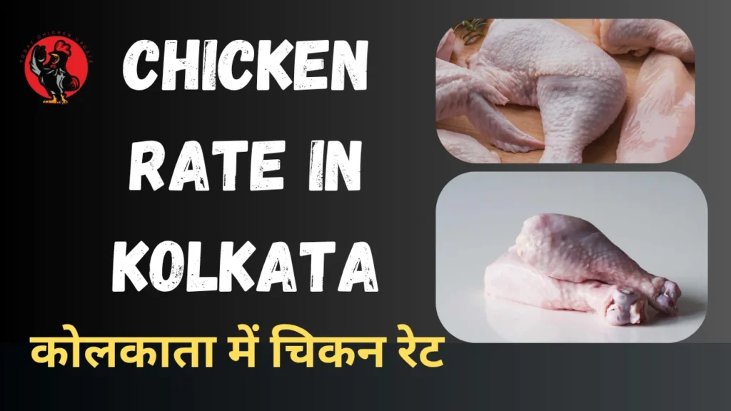 Chicken rate in Kolkata