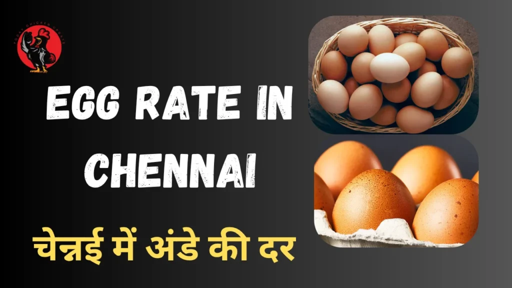 Egg Rate in Chennai