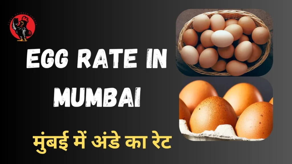 Egg rate in Mumbai